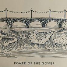 Power of the Gower